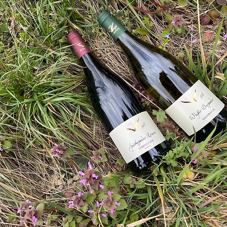 Apartmán Weingut & Strausswirtschaft Vogel Vogtsburg Exteriér fotografie