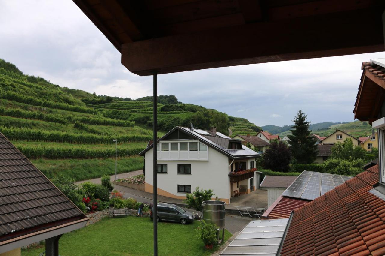 Apartmán Weingut & Strausswirtschaft Vogel Vogtsburg Exteriér fotografie