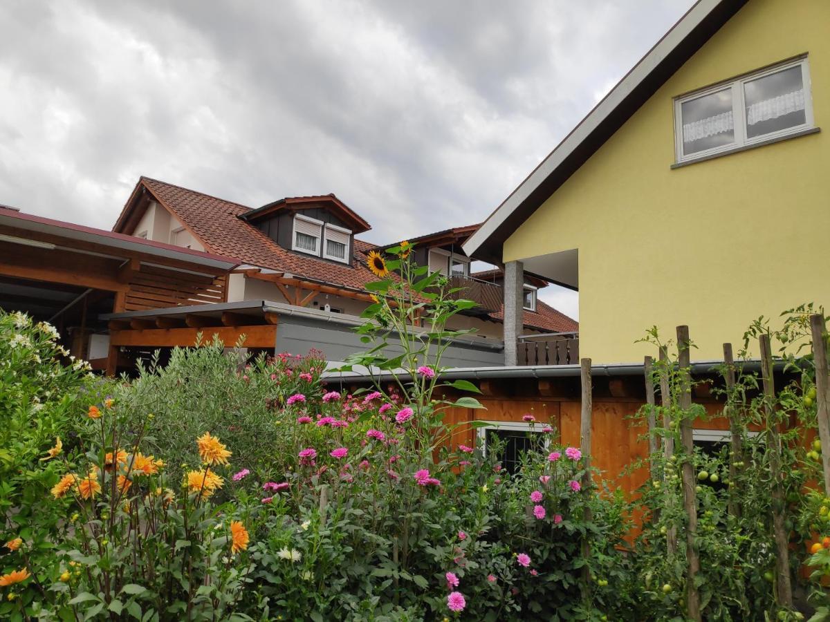 Apartmán Weingut & Strausswirtschaft Vogel Vogtsburg Exteriér fotografie