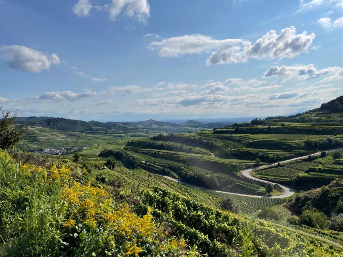 Apartmán Weingut & Strausswirtschaft Vogel Vogtsburg Exteriér fotografie