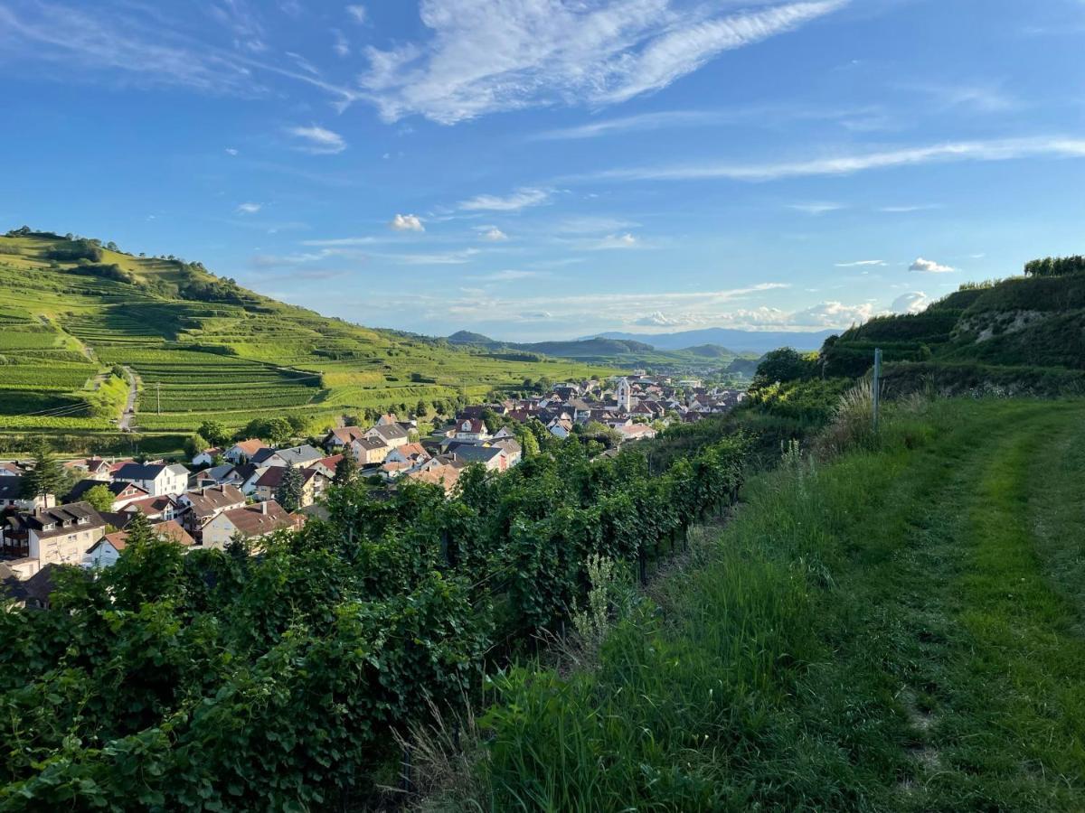 Apartmán Weingut & Strausswirtschaft Vogel Vogtsburg Exteriér fotografie