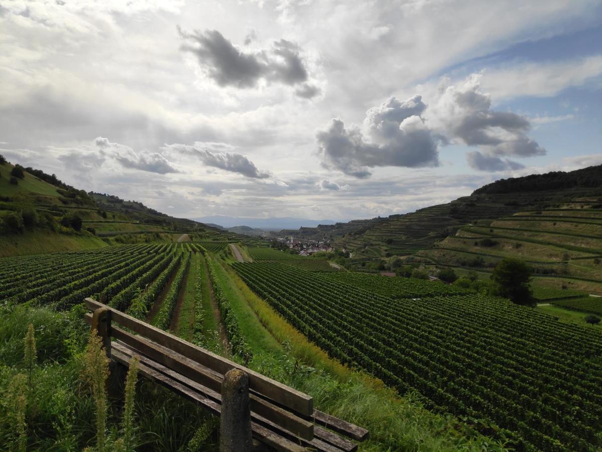 Apartmán Weingut & Strausswirtschaft Vogel Vogtsburg Exteriér fotografie