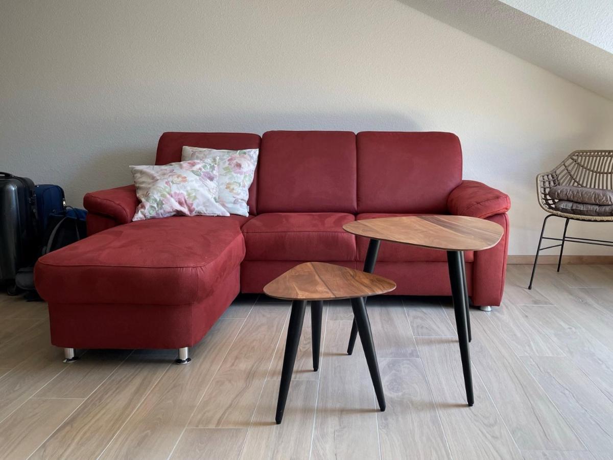 Apartmán Weingut & Strausswirtschaft Vogel Vogtsburg Exteriér fotografie