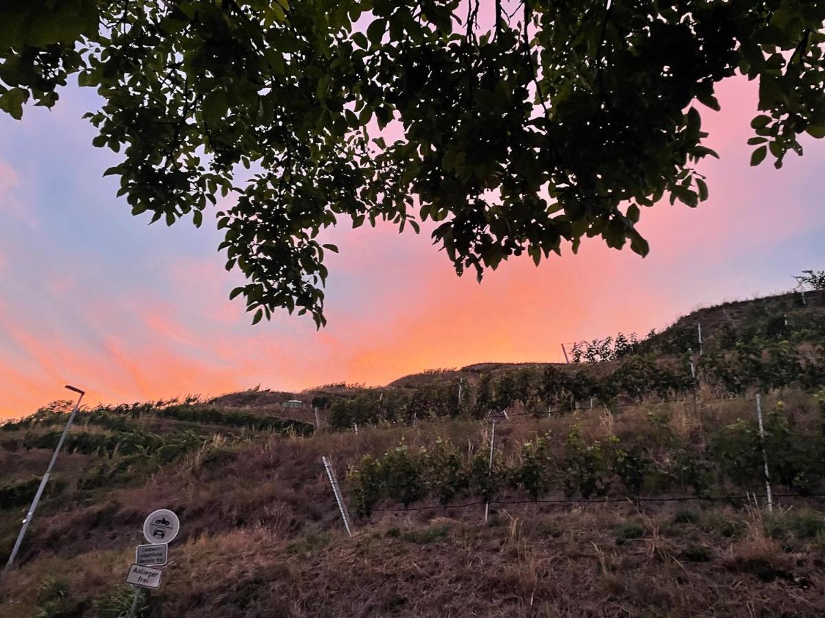 Apartmán Weingut & Strausswirtschaft Vogel Vogtsburg Exteriér fotografie