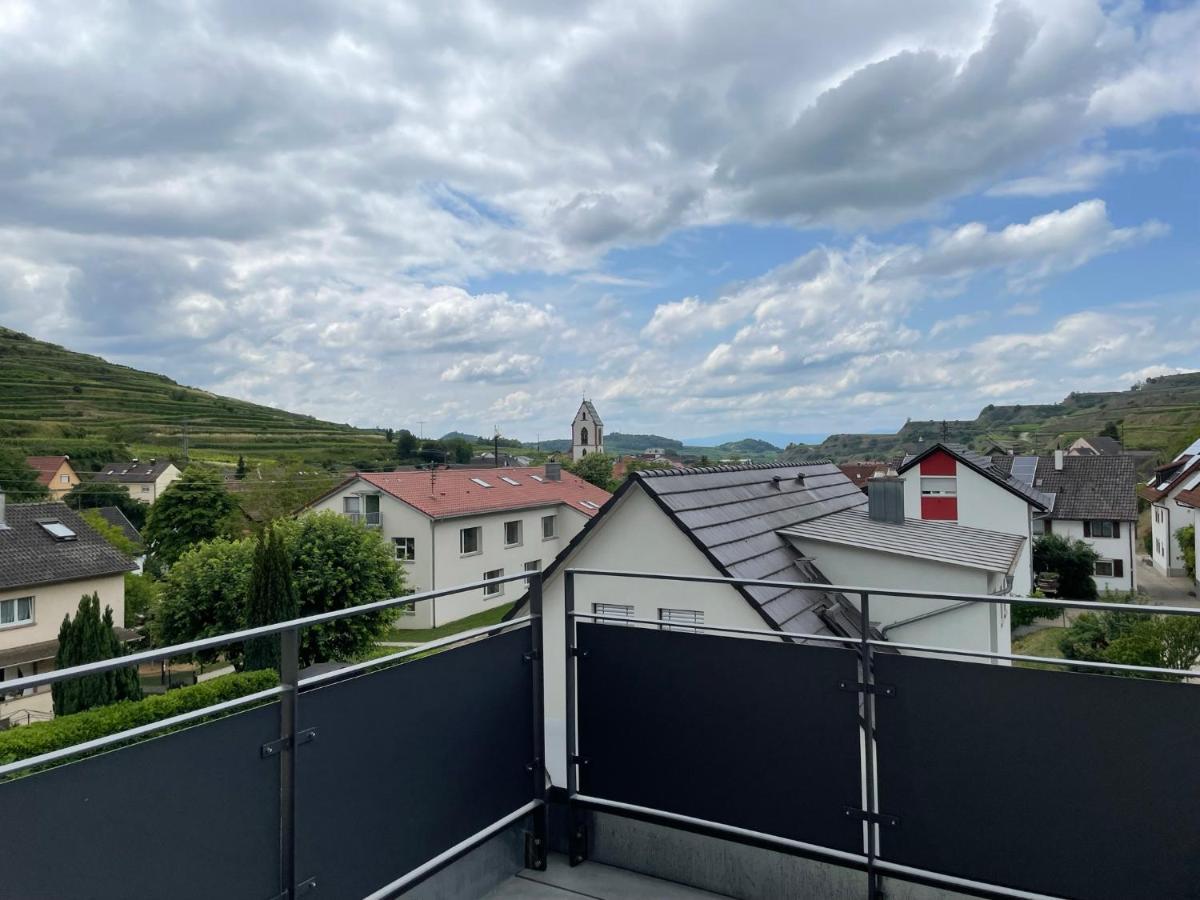 Apartmán Weingut & Strausswirtschaft Vogel Vogtsburg Exteriér fotografie