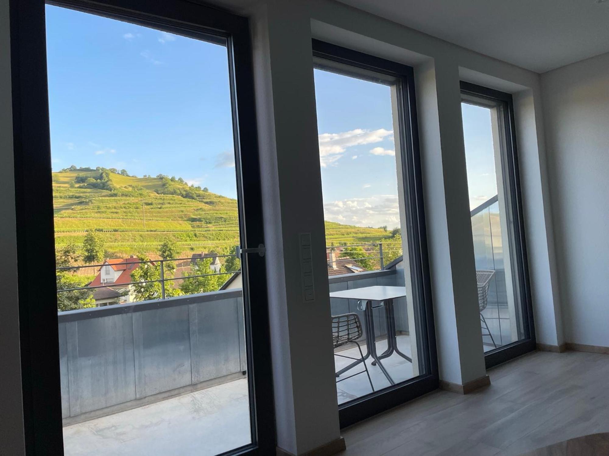 Apartmán Weingut & Strausswirtschaft Vogel Vogtsburg Exteriér fotografie